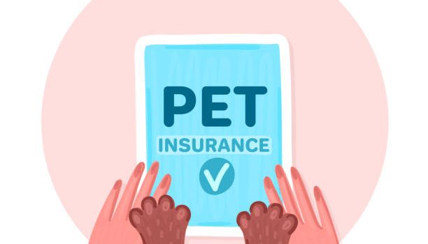 What is insurance and why does it also exist for animals?