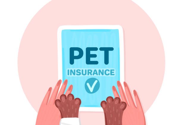 https://insurancenoon.com/embrace-pet-insurance/