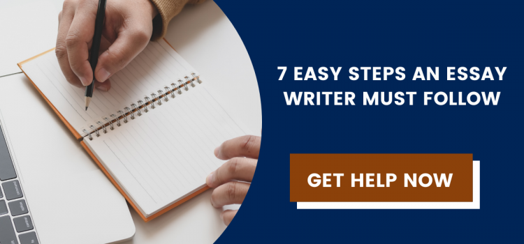7 Easy Steps an Essay Writer Must Follow