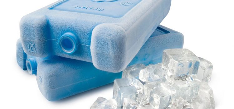 How Do You Choose The Finest Ice Box For Your Cooling Requirements?