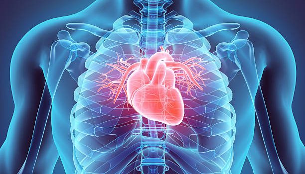 Best Heart Valve Replacement Hospitals In India and Cost