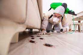 5 Effective Home Pest Control Services