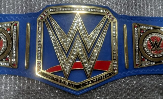 WWE Replica Championship Belts