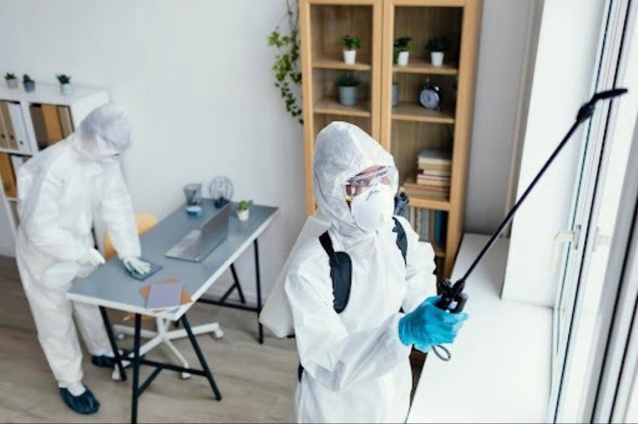 5 Benefits of Hiring Pest Control Services